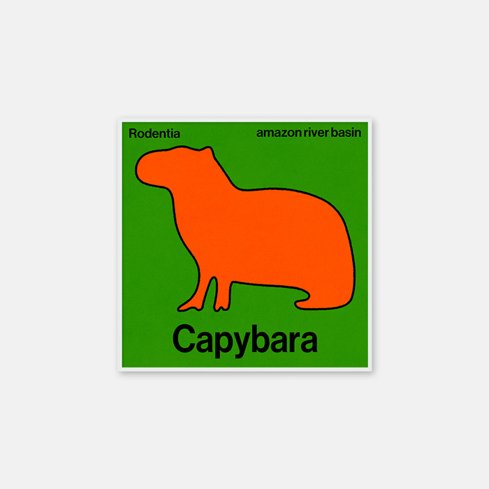 카피바라 포스터